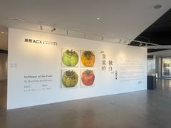 -辰熙ACX星海艺术中心