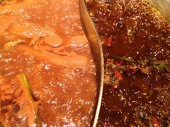 -杨家火锅(国美店)