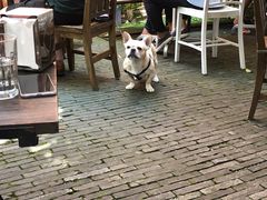 -Ocean's Table 欧舍