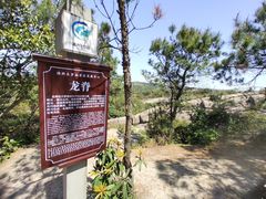 -大罗山风景区