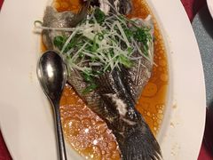 -上海金桥红枫万豪酒店-万豪中餐厅
