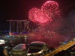 -新加坡瑞士史丹福酒店