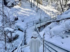 -峡谷浮石林景区