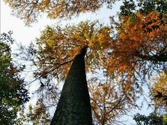 -西湖风景区-江洋畈生态公园