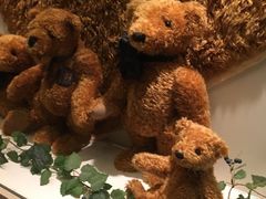 -济州岛泰迪熊博物馆