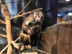 -酷嗒动物文化乐园(cutezoo西溪乐天城店)