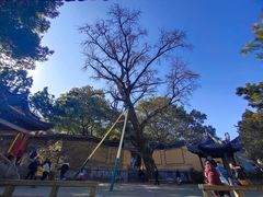 -无锡惠山寺