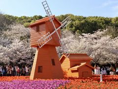 -苏州上方山国家森林公园