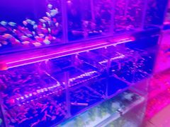 -花鸟鱼虫鲜花绿植市场(玉泉路店)