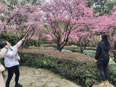 -南山植物园