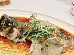 清蒸老虎斑-怀德酒楼·粤菜·海鲜·茶点(怀德万象汇店)