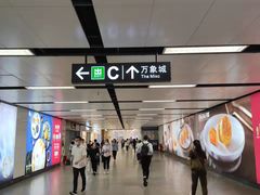 -大剧院(地铁站)