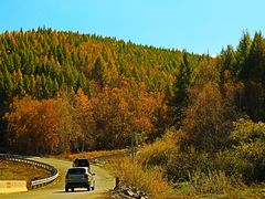 -塞罕坝国家级自然保护区