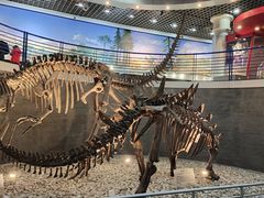 -国家自然博物馆