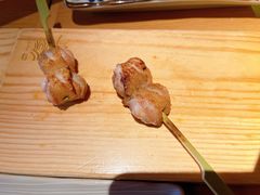 -鳥焱商店(王府大街店)