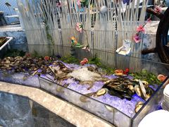 -瑞德姆美人鱼海底演艺主题餐厅(亚龙湾店)
