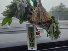 -丽泽山庄·生态怀柔菜·虹鳟鱼(红螺寺店)