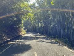 -潜山国家森林公园