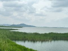 -苏州太湖湖滨国家湿地公园