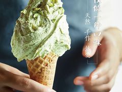 -野人先生现做冰淇淋(西安赛格店)