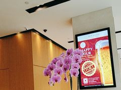 -新加坡柏薇罗切斯特酒店