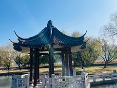 -江心屿景区
