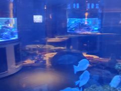 -上和臻品中国菜(花园街店)