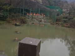 -福州动物园