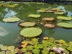 -国家植物园南园