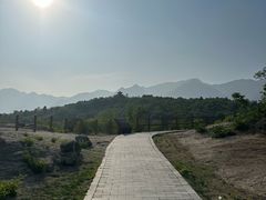 -白水寺森林公园