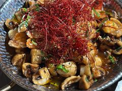 -Hi City·城市之巅