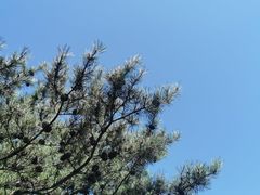 -翠矶山公园
