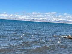 -青海湖国家重点风景名胜区