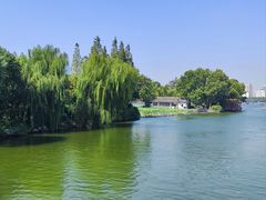 -济南大明湖景区
