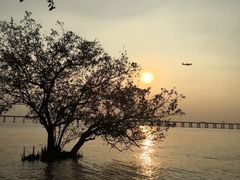 -宝安西湾红树林湿地公园