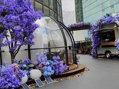 -海底捞火锅(顺城购物中心店)