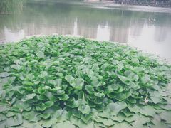 -前关湿地公园