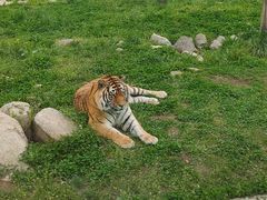 -西安秦岭野生动物园