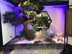 -绿茶餐厅(成都大悦城店)