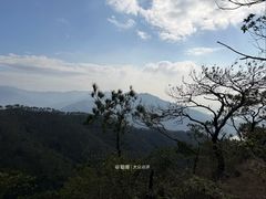 -羚羊峡古栈道森林公园