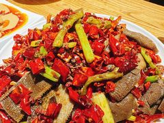 -福苗小骆驼烧烤(中关村店)