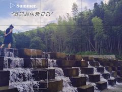 -北仑森林植物园