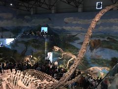 -自贡恐龙博物馆