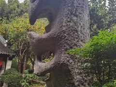 -汇龙潭