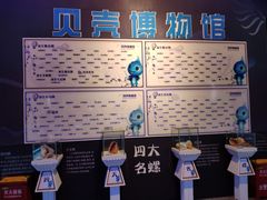 -贝壳梦幻世界