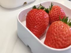 -昌平兴寿秀秀草莓采摘园