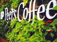 -Peet's Coffee皮爷咖啡(大学路店)