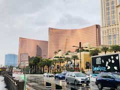 -拉斯维加斯永利酒店