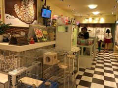 -龙猫仔乐园(惠福东路店)