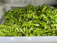 -黔府豆米火锅野菜馆(南马店)